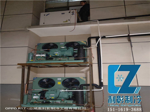 岳陽(yáng)供銷社冷庫(kù)群