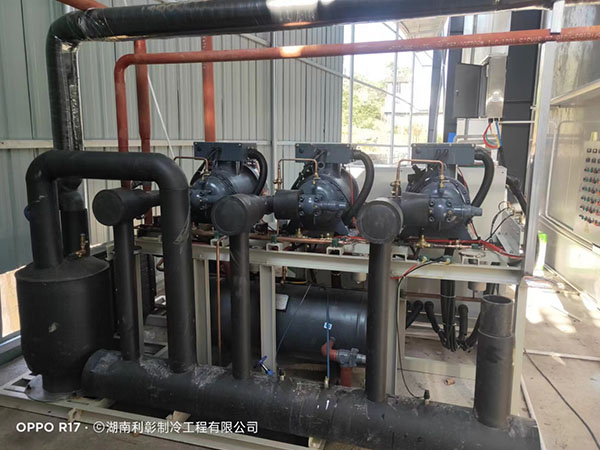 并聯(lián)螺桿制冷機組